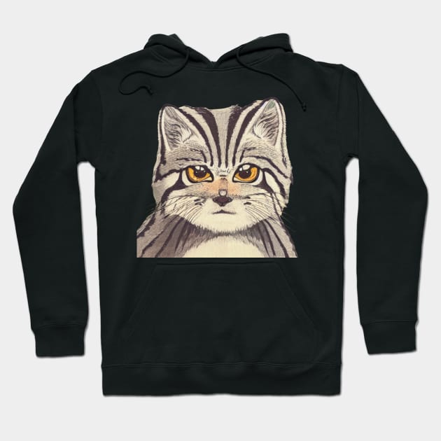 Cute Pallas Cat with Adorable Kitten Face in Vintage Manul Hoodie by Mochabonk